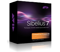 SIBELIUS 7 cross