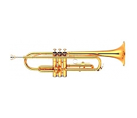 YTR 1335